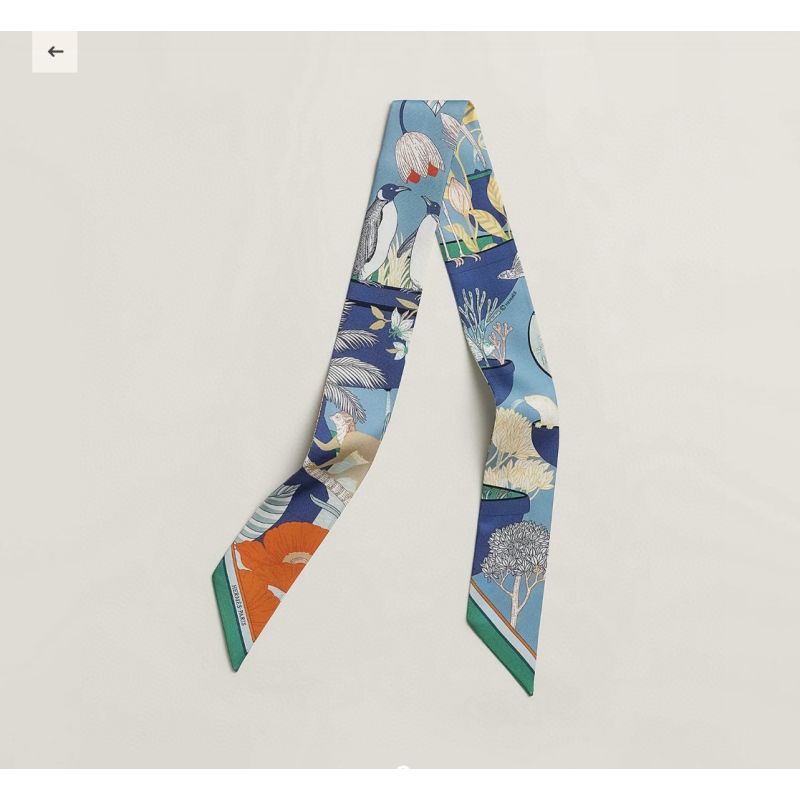 Hermes Silk Twilly 