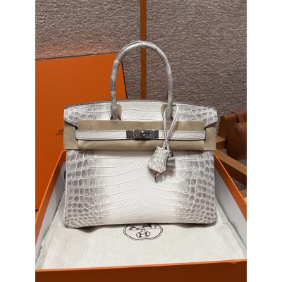Himalaya Niloticus Alligator Birkin 30 Palladium Hardware